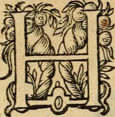 An illustration from Emblemata : emblemes chrestienes et morales : sinne-beelden, streckende tot christelicke bedenckinghe ende leere der zedicheyt, 1625, leaf 37