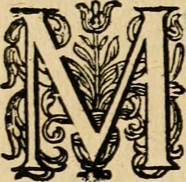 An illustration from Emblemata : emblemes chrestienes et morales : sinne-beelden, streckende tot christelicke bedenckinghe ende leere der zedicheyt, 1625, leaf 393