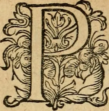An illustration from Emblemata : emblemes chrestienes et morales : sinne-beelden, streckende tot christelicke bedenckinghe ende leere der zedicheyt, 1625, leaf 41