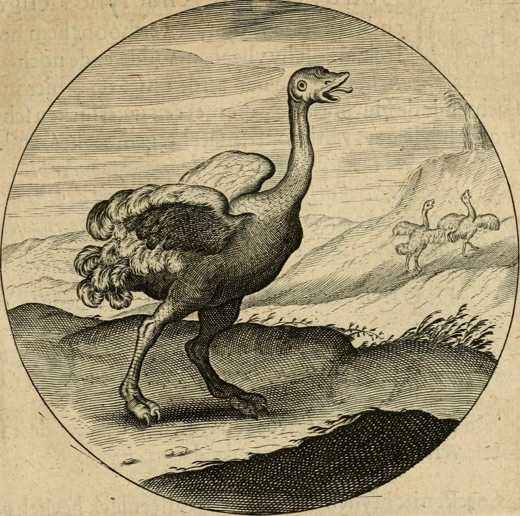 An illustration from Emblemata : emblemes chrestienes et morales : sinne-beelden, streckende tot christelicke bedenckinghe ende leere der zedicheyt, 1625, leaf 44