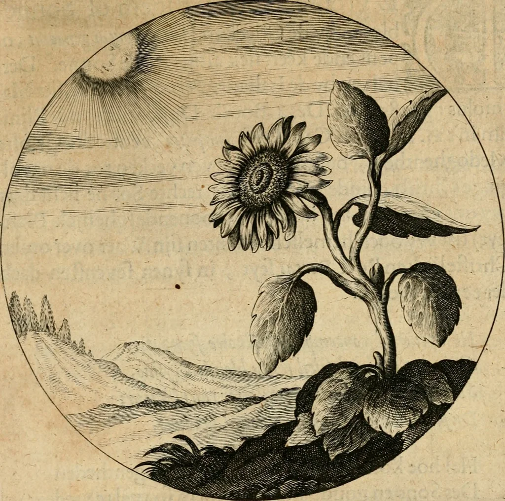 An illustration from Emblemata : emblemes chrestienes et morales : sinne-beelden, streckende tot christelicke bedenckinghe ende leere der zedicheyt, 1625, leaf 48