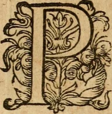 An illustration from Emblemata : emblemes chrestienes et morales : sinne-beelden, streckende tot christelicke bedenckinghe ende leere der zedicheyt, 1625, leaf 73