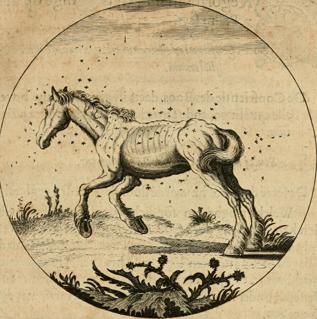 An illustration from Emblemata : emblemes chrestienes et morales : sinne-beelden, streckende tot christelicke bedenckinghe ende leere der zedicheyt, 1625, leaf 76