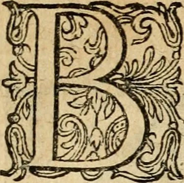 An illustration from Emblemata : emblemes chrestienes et morales : sinne-beelden, streckende tot christelicke bedenckinghe ende leere der zedicheyt, 1625, leaf 89