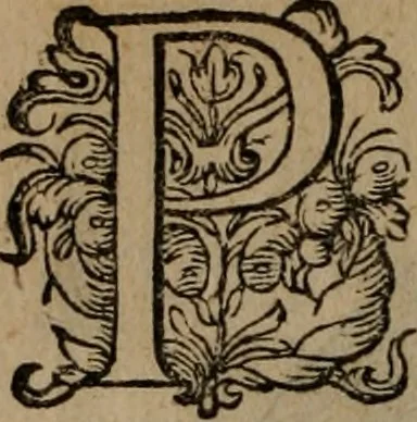 An illustration from Emblemata, Emblemes chrestienes, et morales. Sinne-beelden streckende tot Christelicke bedenckinghe ende leere der zedicheyt, 1625, leaf 113