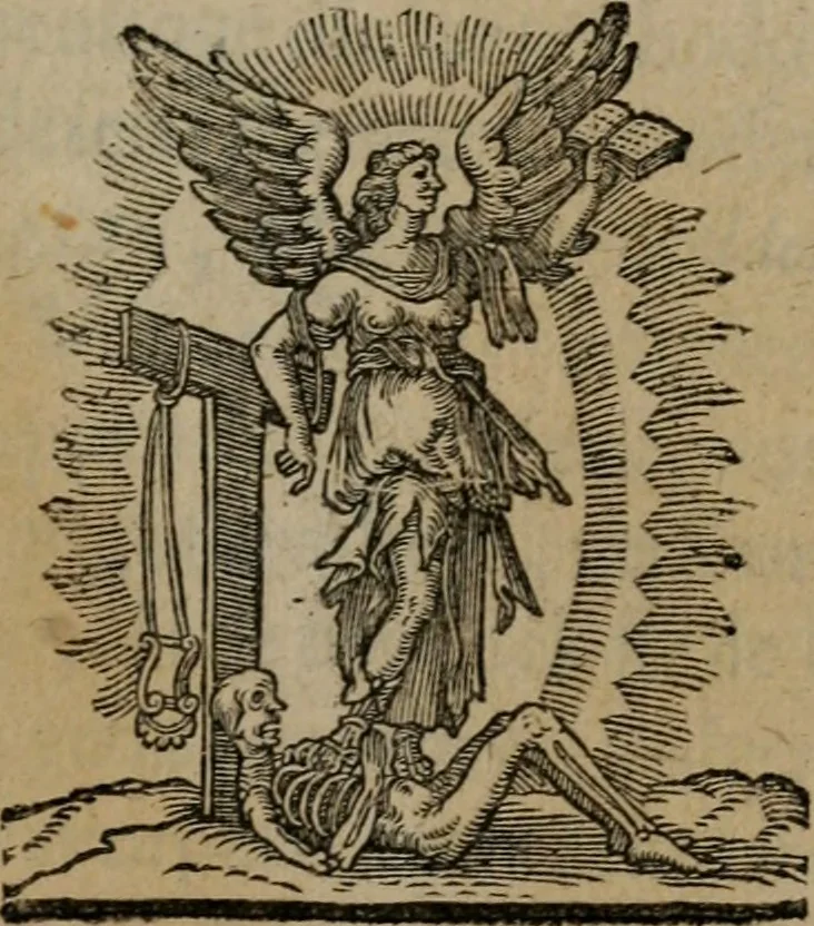 An illustration from Emblemata, Emblemes chrestienes, et morales. Sinne-beelden streckende tot Christelicke bedenckinghe ende leere der zedicheyt, 1625, leaf 124
