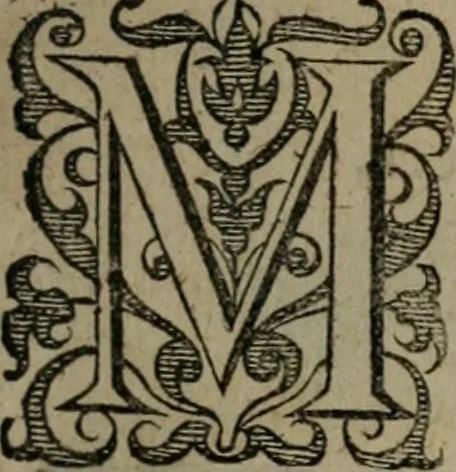 An illustration from Emblemata, Emblemes chrestienes, et morales. Sinne-beelden streckende tot Christelicke bedenckinghe ende leere der zedicheyt, 1625, leaf 126