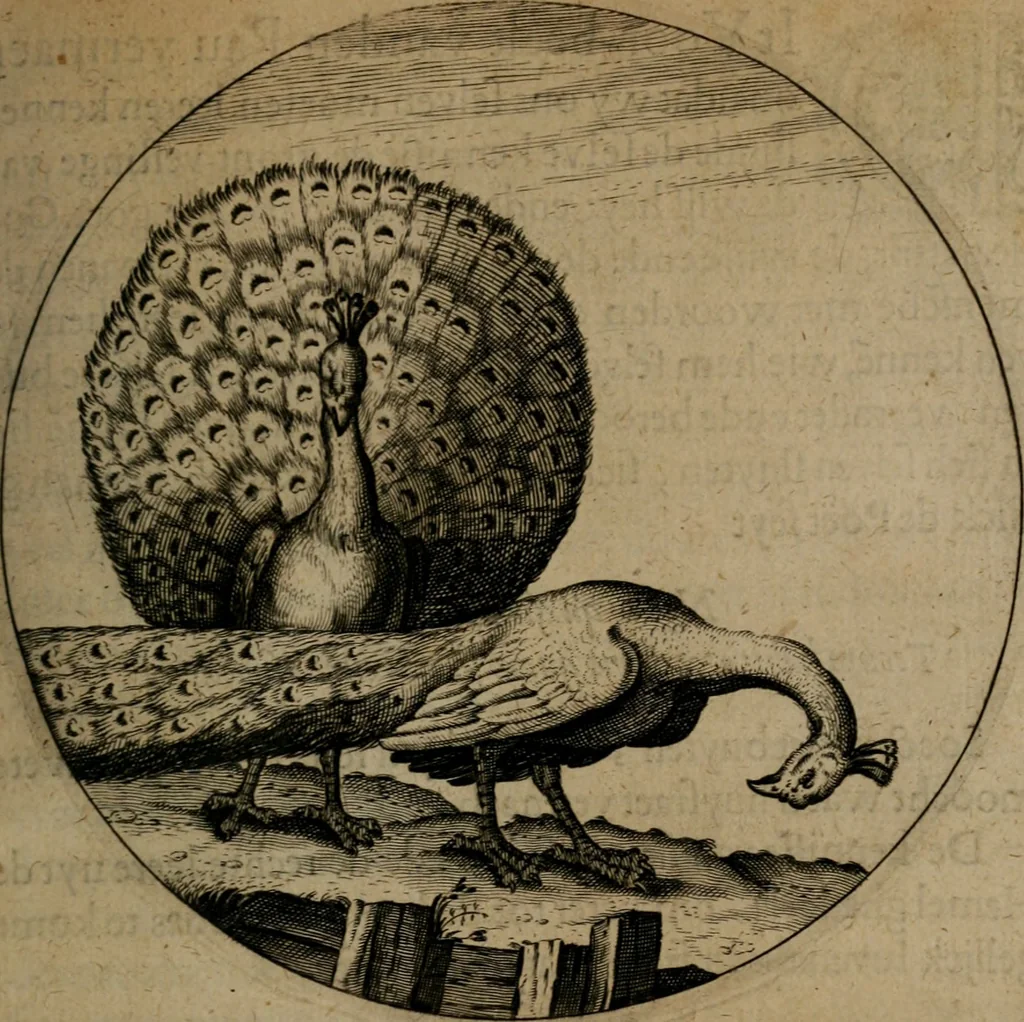 An illustration from Emblemata, Emblemes chrestienes, et morales. Sinne-beelden streckende tot Christelicke bedenckinghe ende leere der zedicheyt, 1625, leaf 128