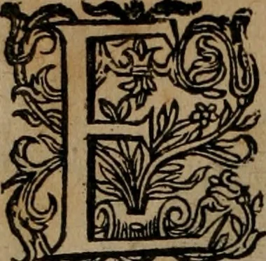 An illustration from Emblemata, Emblemes chrestienes, et morales. Sinne-beelden streckende tot Christelicke bedenckinghe ende leere der zedicheyt, 1625, leaf 141