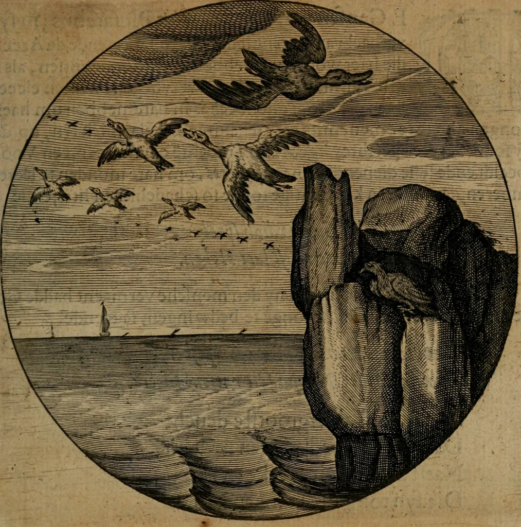 An illustration from Emblemata, Emblemes chrestienes, et morales. Sinne-beelden streckende tot Christelicke bedenckinghe ende leere der zedicheyt, 1625, leaf 160