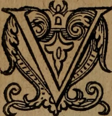 An illustration from Emblemata, Emblemes chrestienes, et morales. Sinne-beelden streckende tot Christelicke bedenckinghe ende leere der zedicheyt, 1625, leaf 165