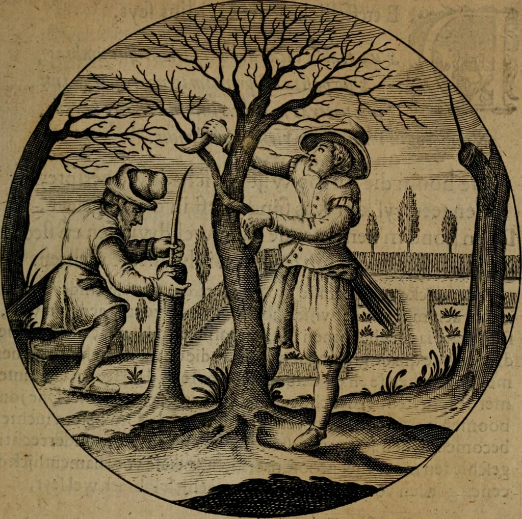 An illustration from Emblemata, Emblemes chrestienes, et morales. Sinne-beelden streckende tot Christelicke bedenckinghe ende leere der zedicheyt, 1625, leaf 168