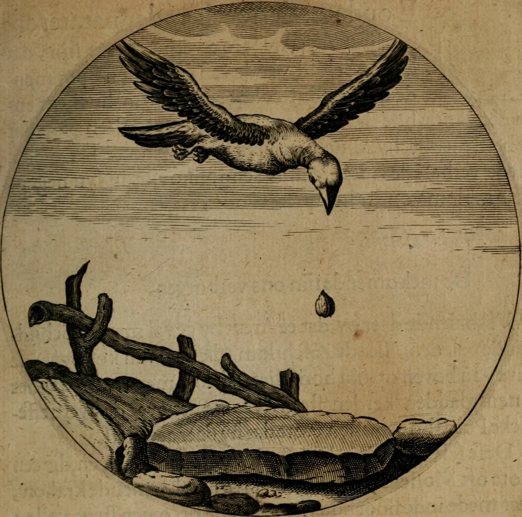 An illustration from Emblemata, Emblemes chrestienes, et morales. Sinne-beelden streckende tot Christelicke bedenckinghe ende leere der zedicheyt, 1625, leaf 180