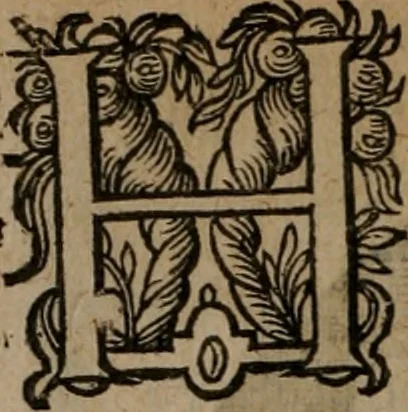 An illustration from Emblemata, Emblemes chrestienes, et morales. Sinne-beelden streckende tot Christelicke bedenckinghe ende leere der zedicheyt, 1625, leaf 189