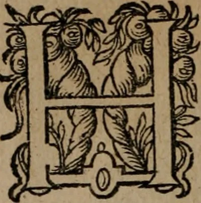 An illustration from Emblemata, Emblemes chrestienes, et morales. Sinne-beelden streckende tot Christelicke bedenckinghe ende leere der zedicheyt, 1625, leaf 193