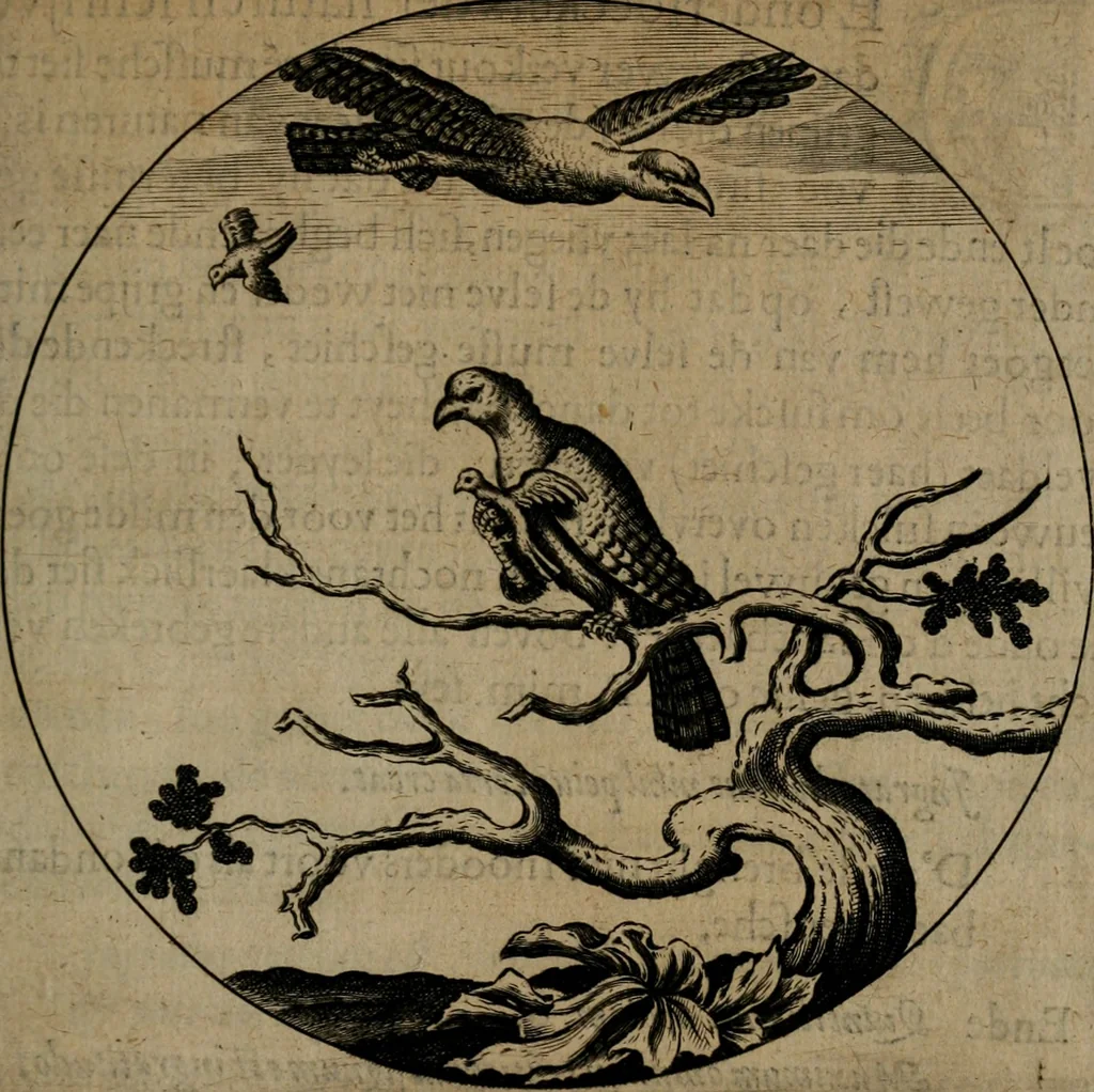 An illustration from Emblemata, Emblemes chrestienes, et morales. Sinne-beelden streckende tot Christelicke bedenckinghe ende leere der zedicheyt, 1625, leaf 196