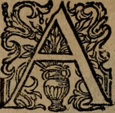 An illustration from Emblemata, Emblemes chrestienes, et morales. Sinne-beelden streckende tot Christelicke bedenckinghe ende leere der zedicheyt, 1625, leaf 201