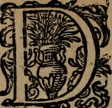An illustration from Emblemata, Emblemes chrestienes, et morales. Sinne-beelden streckende tot Christelicke bedenckinghe ende leere der zedicheyt, 1625, leaf 205