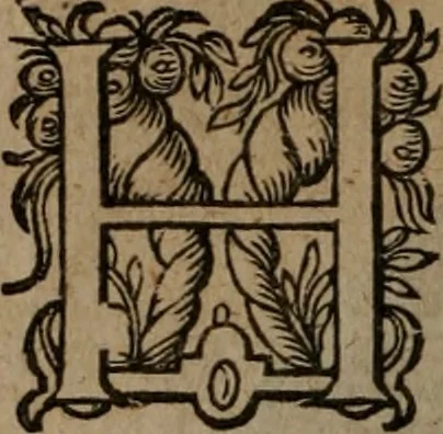 An illustration from Emblemata, Emblemes chrestienes, et morales. Sinne-beelden streckende tot Christelicke bedenckinghe ende leere der zedicheyt, 1625, leaf 21