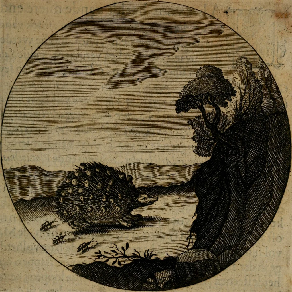 An illustration from Emblemata, Emblemes chrestienes, et morales. Sinne-beelden streckende tot Christelicke bedenckinghe ende leere der zedicheyt, 1625, leaf 216