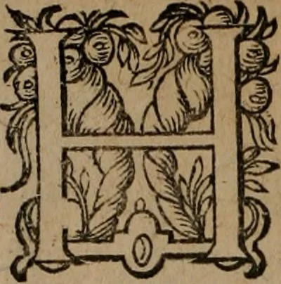 An illustration from Emblemata, Emblemes chrestienes, et morales. Sinne-beelden streckende tot Christelicke bedenckinghe ende leere der zedicheyt, 1625, leaf 221