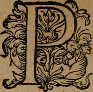 An illustration from Emblemata, Emblemes chrestienes, et morales. Sinne-beelden streckende tot Christelicke bedenckinghe ende leere der zedicheyt, 1625, leaf 225
