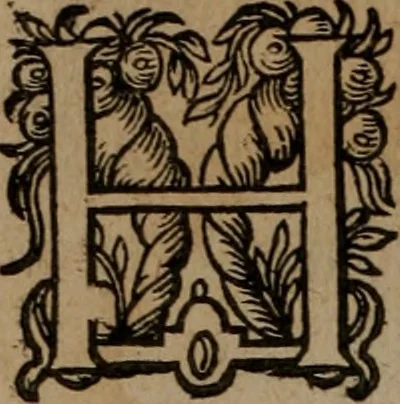 An illustration from Emblemata, Emblemes chrestienes, et morales. Sinne-beelden streckende tot Christelicke bedenckinghe ende leere der zedicheyt, 1625, leaf 33