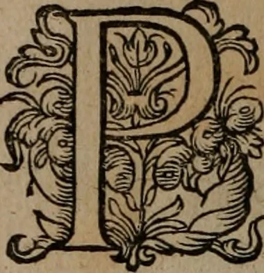 An illustration from Emblemata, Emblemes chrestienes, et morales. Sinne-beelden streckende tot Christelicke bedenckinghe ende leere der zedicheyt, 1625, leaf 37