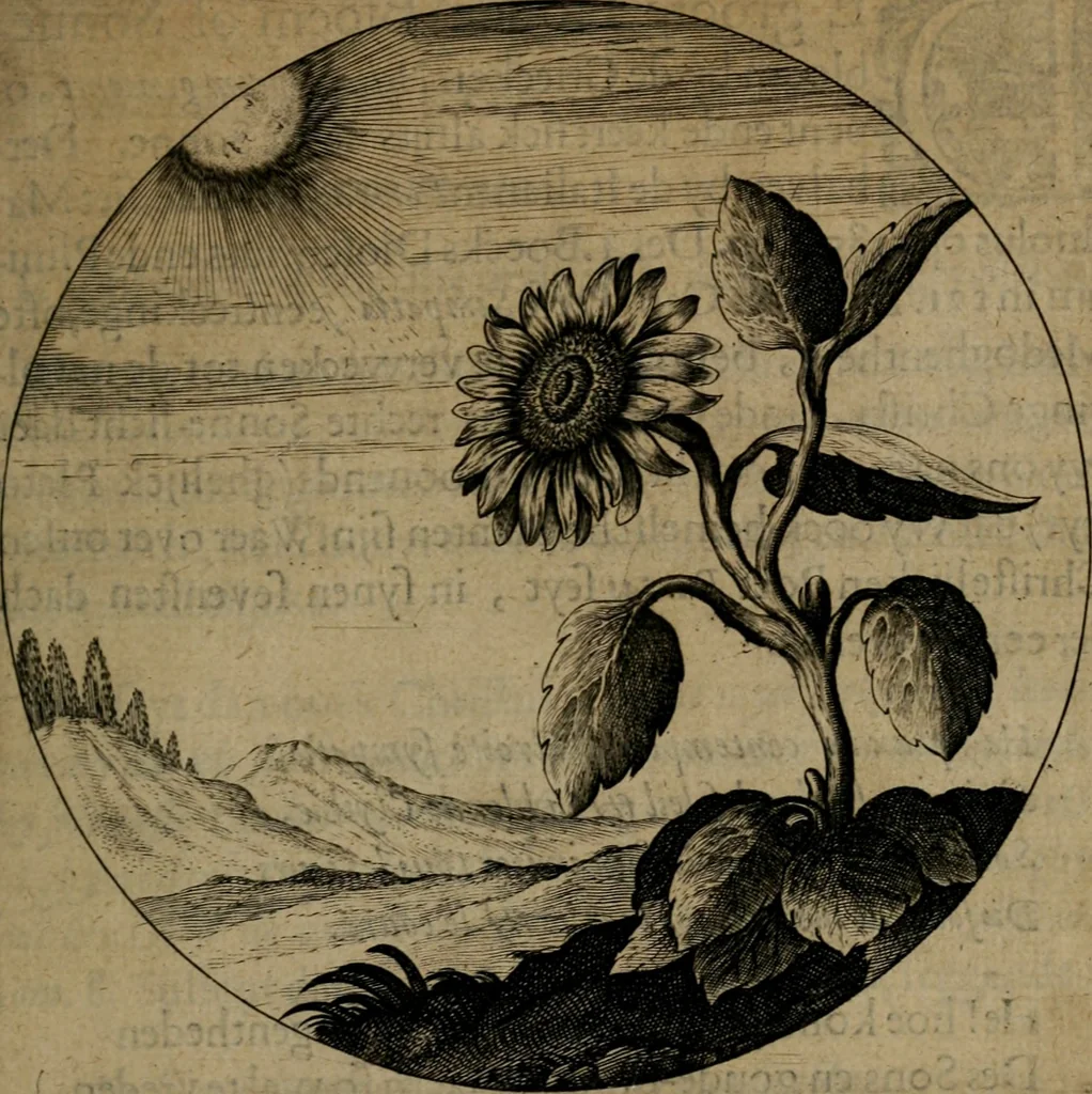 An illustration from Emblemata, Emblemes chrestienes, et morales. Sinne-beelden streckende tot Christelicke bedenckinghe ende leere der zedicheyt, 1625, leaf 44