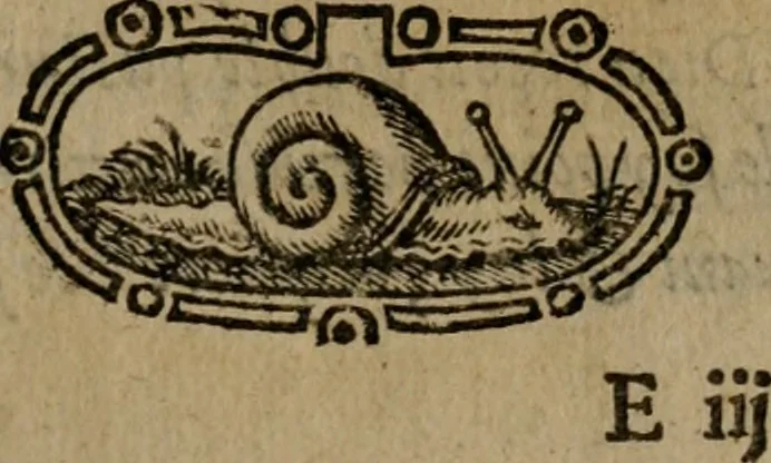 An illustration from Emblemata, Emblemes chrestienes, et morales. Sinne-beelden streckende tot Christelicke bedenckinghe ende leere der zedicheyt, 1625, leaf 54