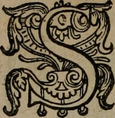 An illustration from Emblemata, Emblemes chrestienes, et morales. Sinne-beelden streckende tot Christelicke bedenckinghe ende leere der zedicheyt, 1625, leaf 81
