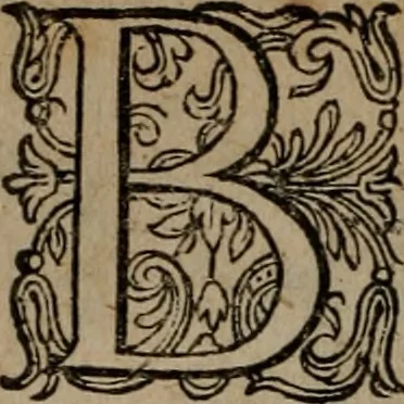 An illustration from Emblemata, Emblemes chrestienes, et morales. Sinne-beelden streckende tot Christelicke bedenckinghe ende leere der zedicheyt, 1625, leaf 85