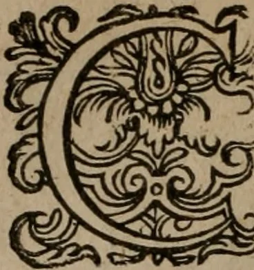 An illustration from Emblemata, Emblemes chrestienes, et morales. Sinne-beelden streckende tot Christelicke bedenckinghe ende leere der zedicheyt, 1625, leaf 97