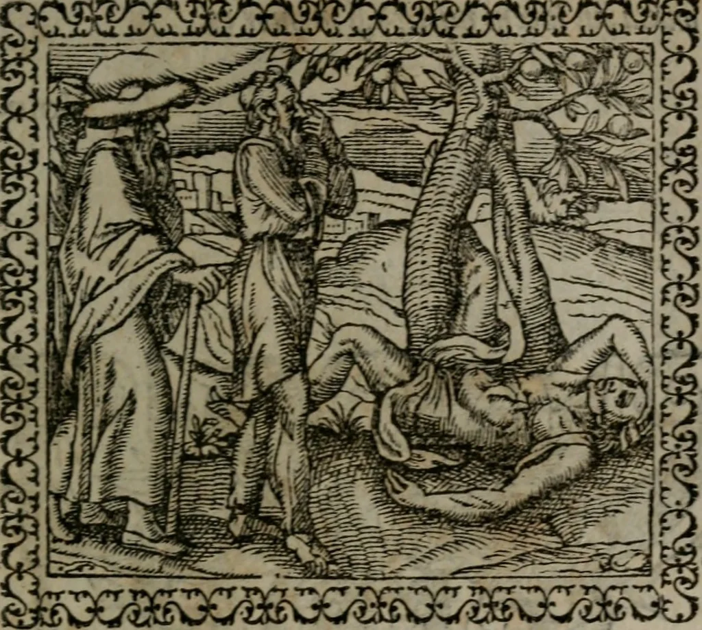 An illustration from Emblemata : et aliquot nummi antiqui operis, 1566, leaf 112