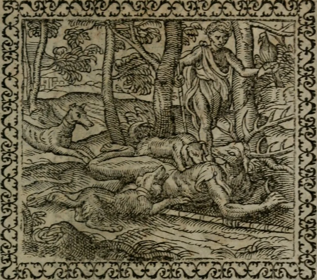 An illustration from Emblemata : et aliquot nummi antiqui operis, 1566, leaf 114
