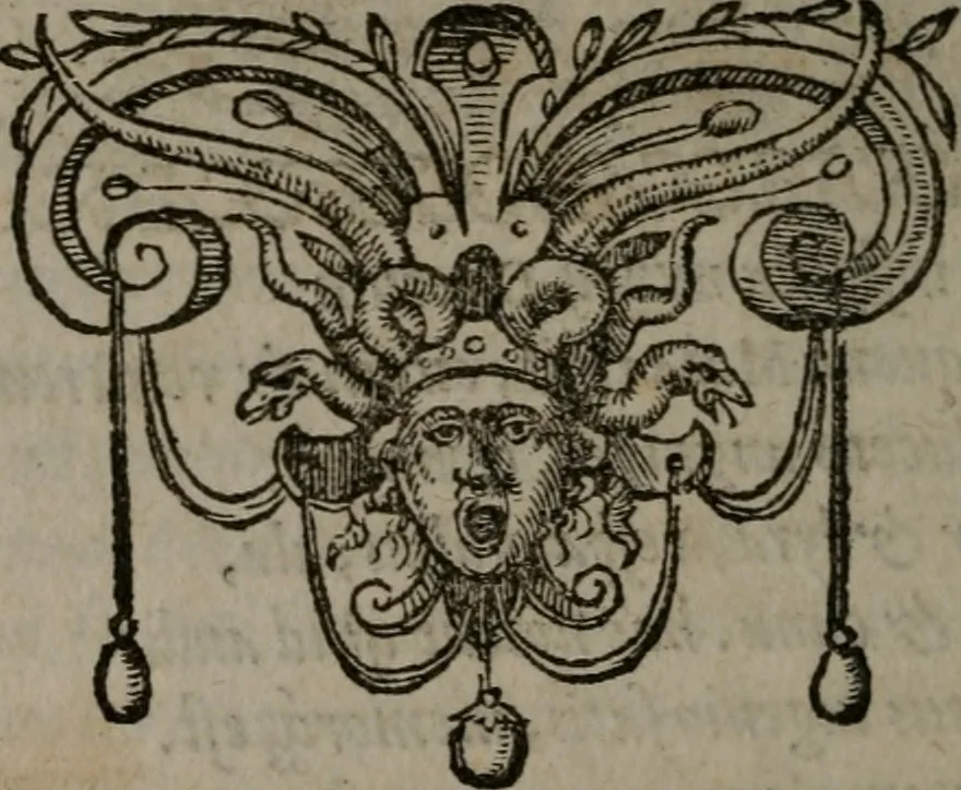 An illustration from Emblemata : et aliquot nummi antiqui operis, 1566, leaf 117