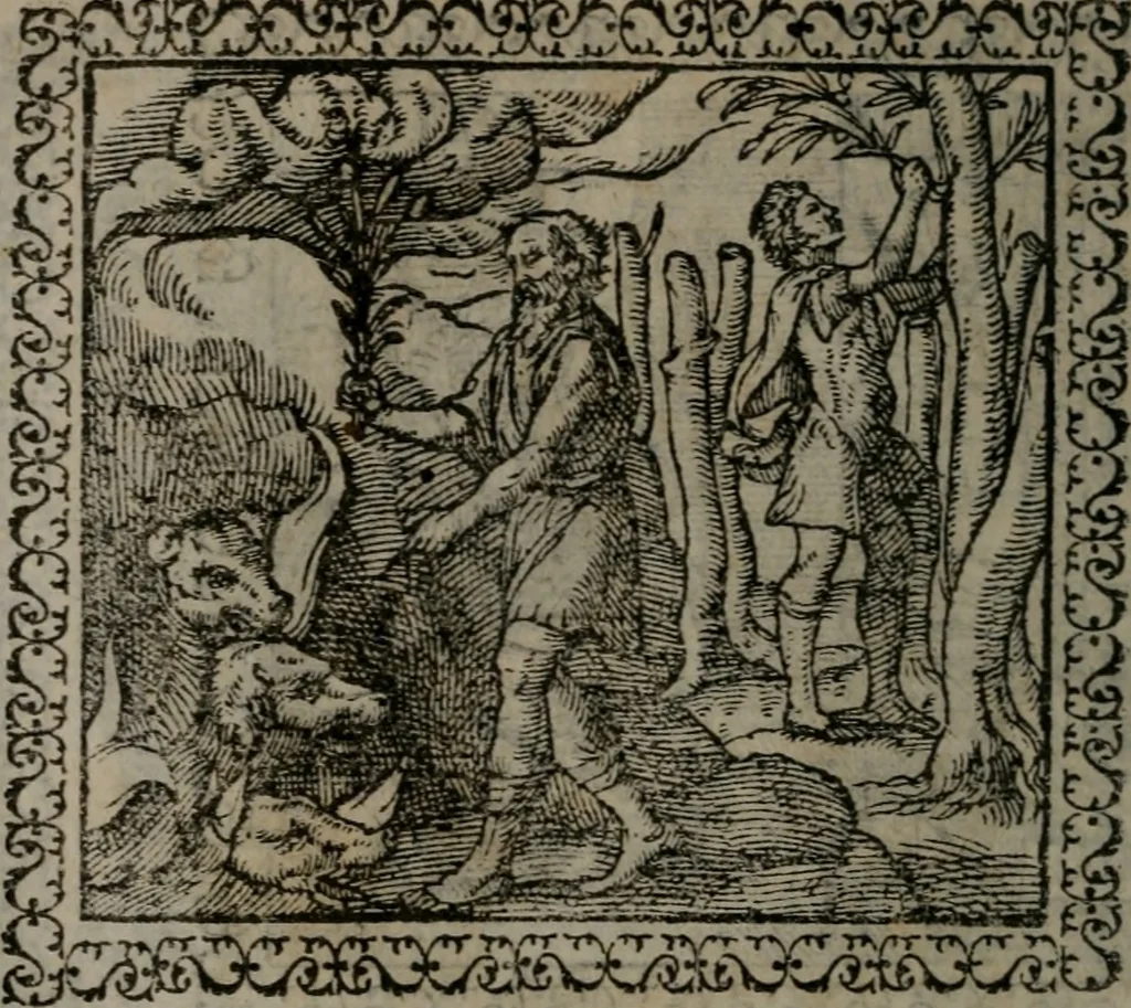 An illustration from Emblemata : et aliquot nummi antiqui operis, 1566, leaf 131