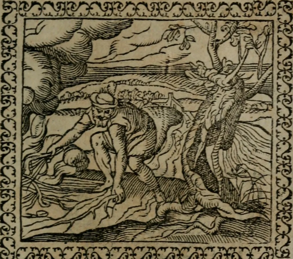An illustration from Emblemata : et aliquot nummi antiqui operis, 1566, leaf 138