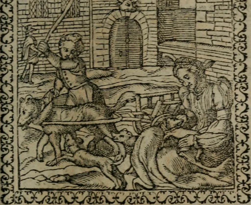 An illustration from Emblemata : et aliquot nummi antiqui operis, 1566, leaf 162