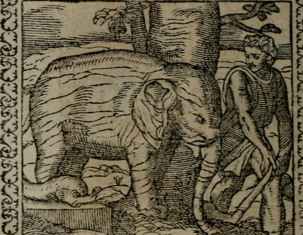 An illustration from Emblemata : et aliquot nummi antiqui operis, 1566, leaf 163