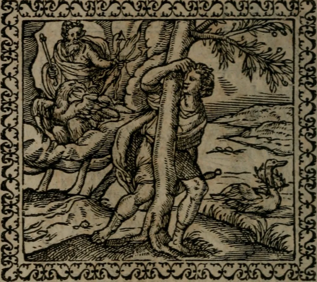 An illustration from Emblemata : et aliquot nummi antiqui operis, 1566, leaf 17