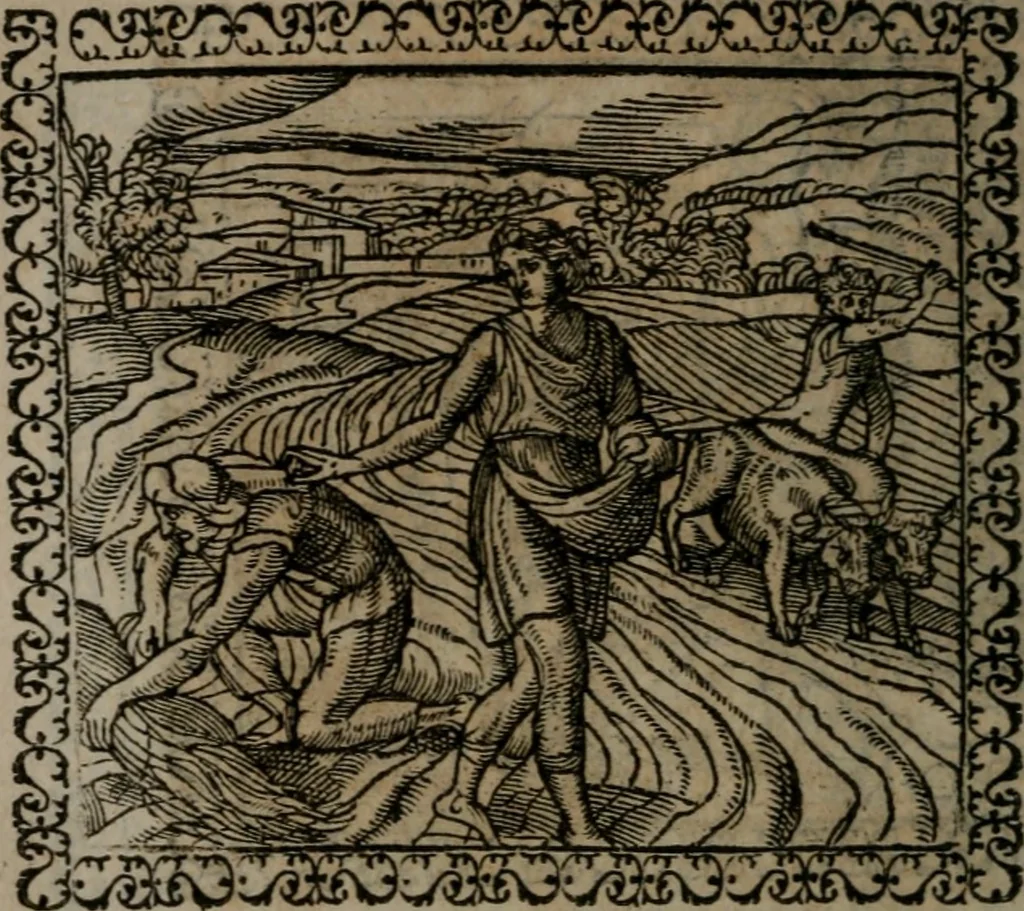 An illustration from Emblemata : et aliquot nummi antiqui operis, 1566, leaf 177
