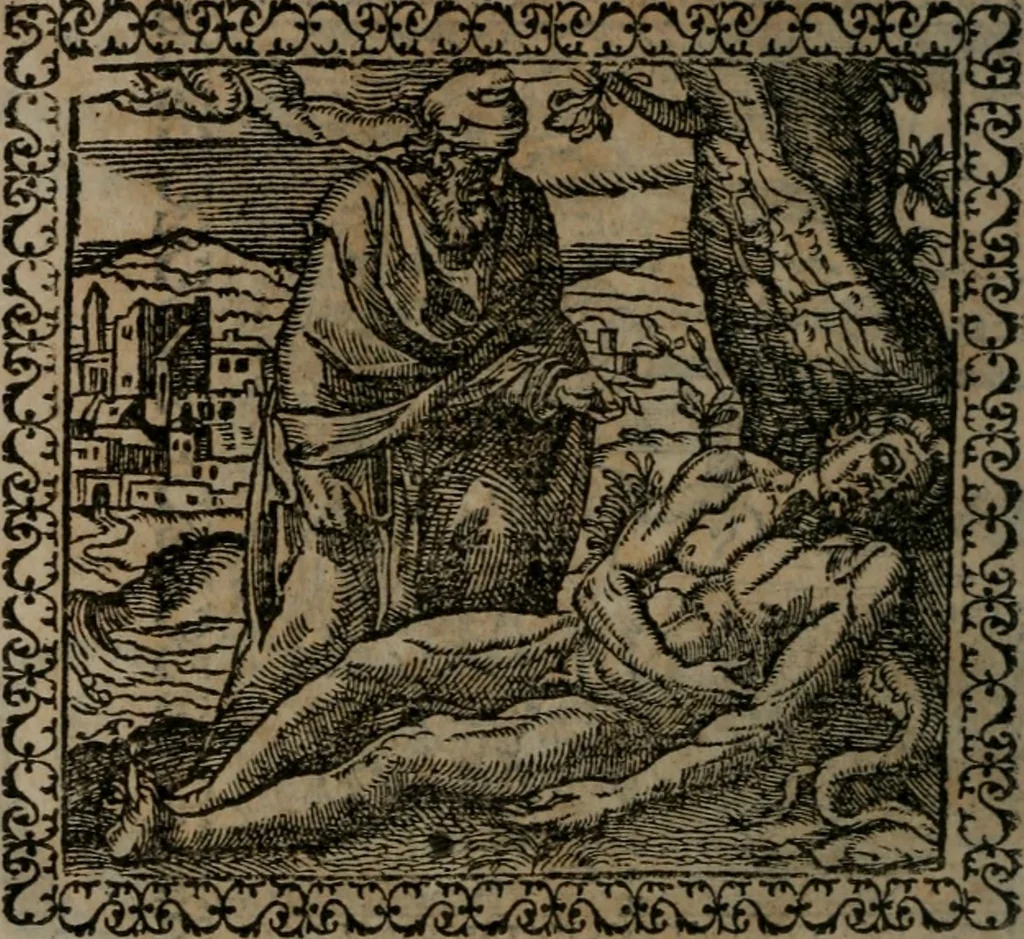 An illustration from Emblemata : et aliquot nummi antiqui operis, 1566, leaf 195