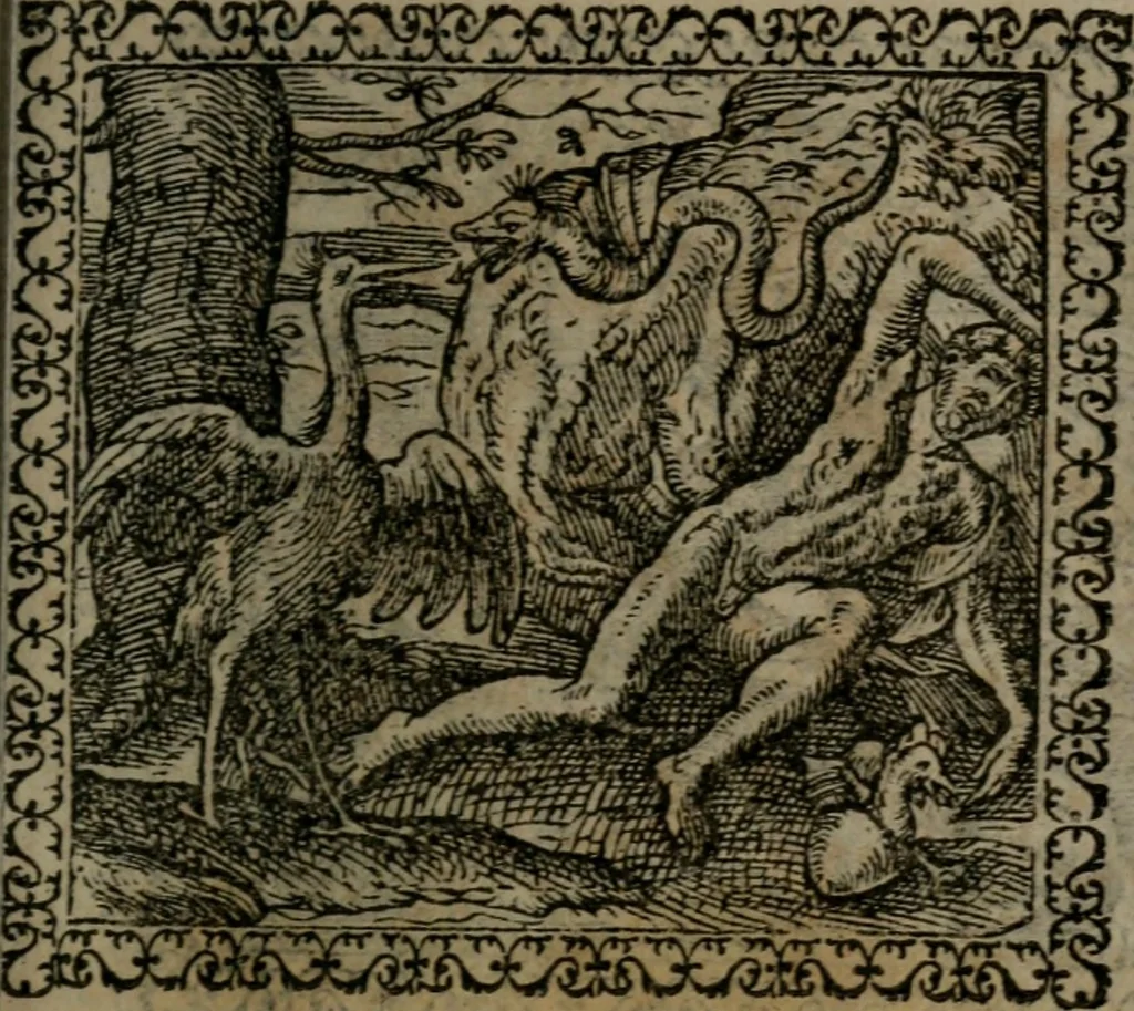 An illustration from Emblemata : et aliquot nummi antiqui operis, 1566, leaf 20