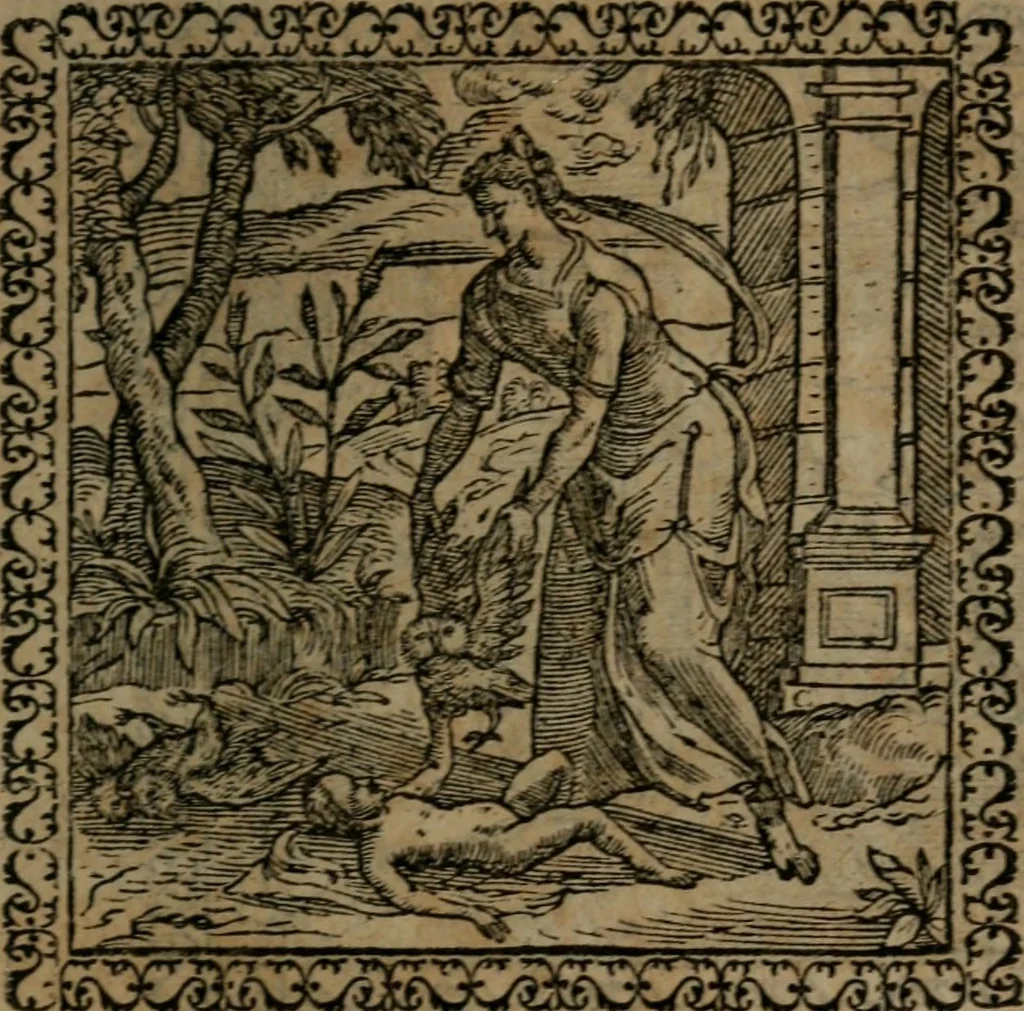An illustration from Emblemata : et aliquot nummi antiqui operis, 1566, leaf 206