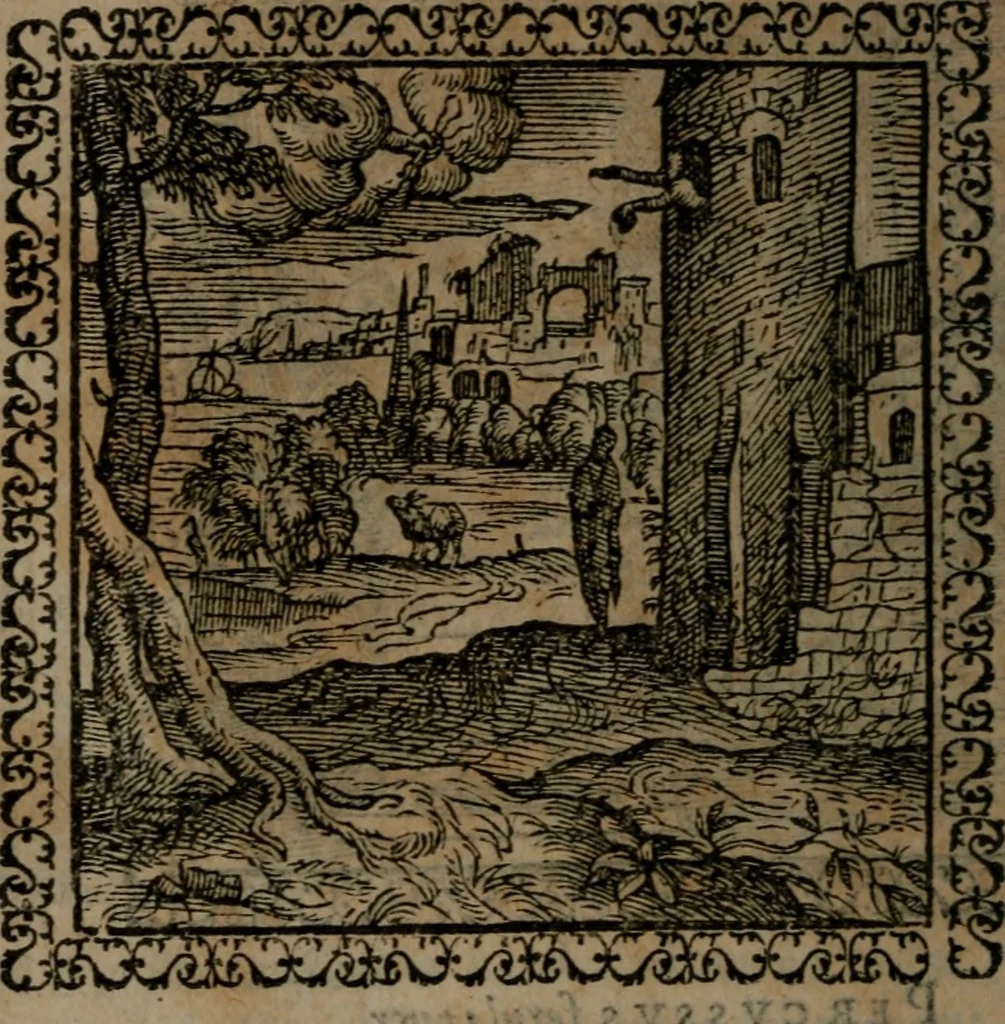 An illustration from Emblemata : et aliquot nummi antiqui operis, 1566, leaf 211