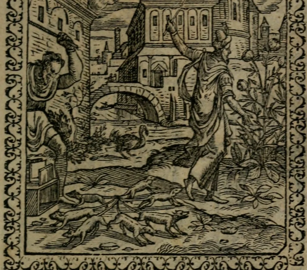 An illustration from Emblemata : et aliquot nummi antiqui operis, 1566, leaf 214