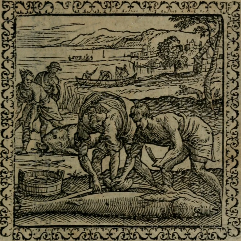 An illustration from Emblemata : et aliquot nummi antiqui operis, 1566, leaf 216