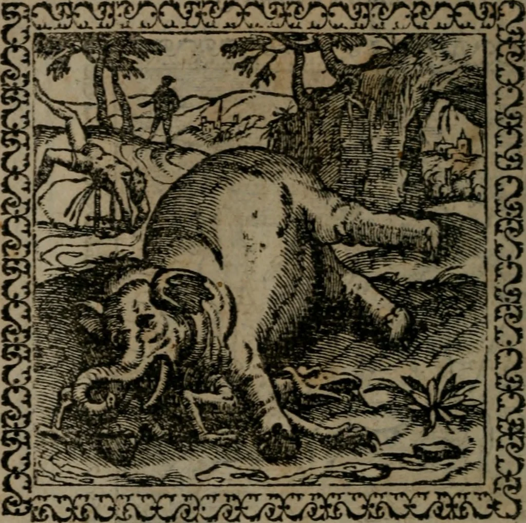 An illustration from Emblemata : et aliquot nummi antiqui operis, 1566, leaf 223