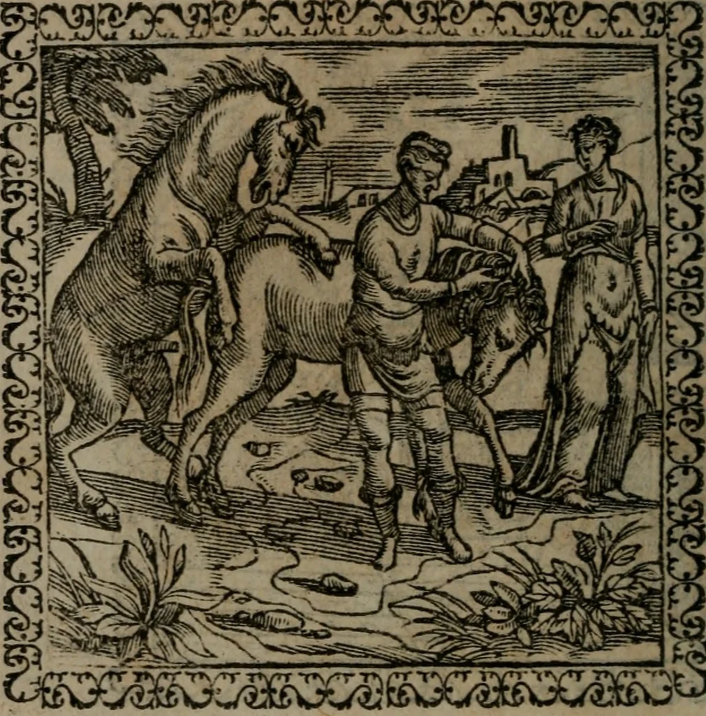 An illustration from Emblemata : et aliquot nummi antiqui operis, 1566, leaf 225